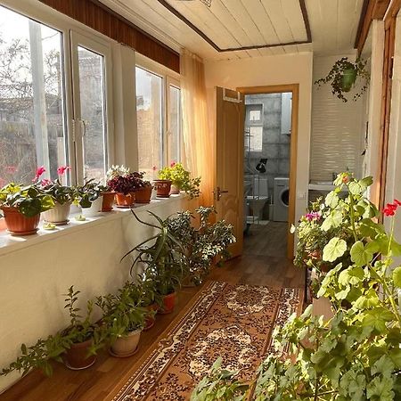 Gulnara Guest House Ysyk-Köl Exterior foto